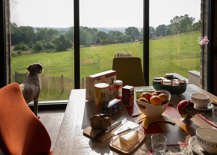 Foret Du Domaine De La Belle Verte Le Bo (Calvados)